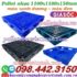 Pallet nhựa 1100x1100x150mm đan thanh màu xanh dương và đen
