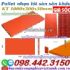 Pallet nhựa làm sân khấu 1000x500x50mm mặt kín màu cam