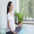 Các Tiêu Chí Để Chọn Phòng Khám Thai Uy Tín Phục Vụ Tốt Nhất Cho Thai Nhi
