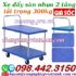 Xe đẩy hàng 2 tầng sàn nhựa 300kg FD300T2